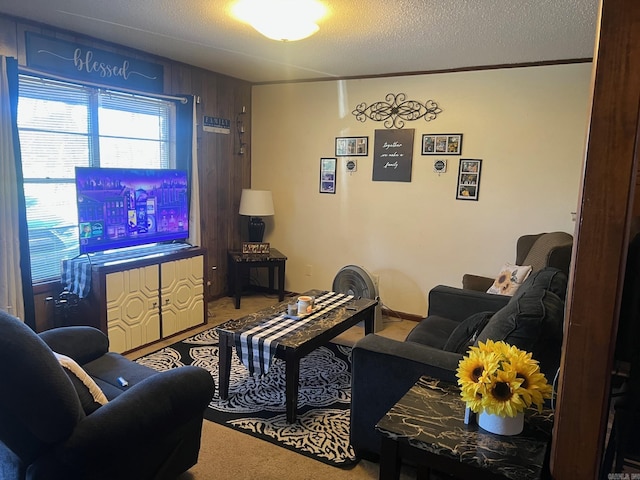 carpeted living room with a textured ceiling