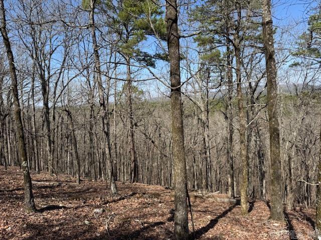 0 Fox Ridge Rd, Little Rock, AR 72223