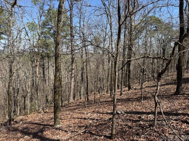 0 Fox Ridge Rd, Little Rock, AR 72223