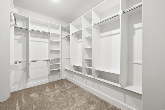 walk in closet with carpet flooring