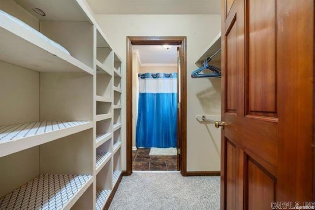 103 River Bend Rd, Hot Springs, AR 71913 - walk in closet with carpet flooring