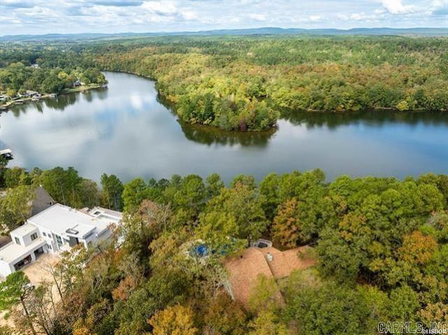 103 River Bend Rd, Hot Springs, AR 71913 - drone / aerial view featuring a view of trees and a water view