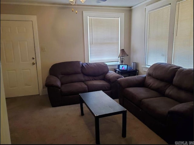 carpeted living area featuring crown molding and a ceiling fan