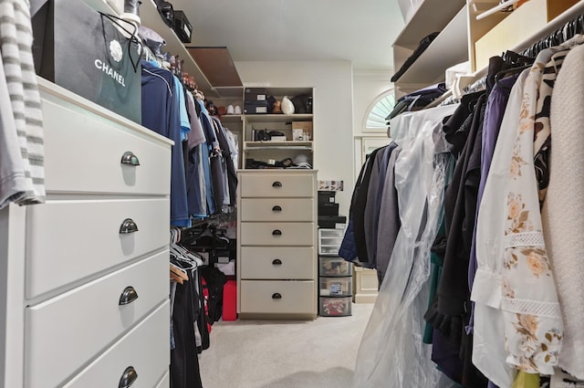 33 Greathouse Bend Dr, Little Rock, AR 72207 - spacious closet with carpet floors