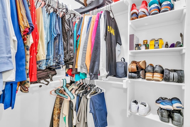 view of walk in closet