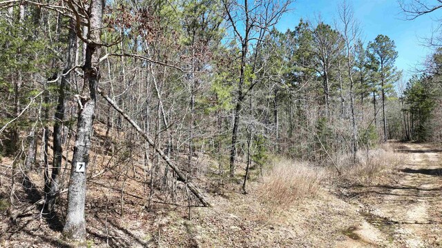 LOT7 Hwy 375 E, Mena, AR 71953