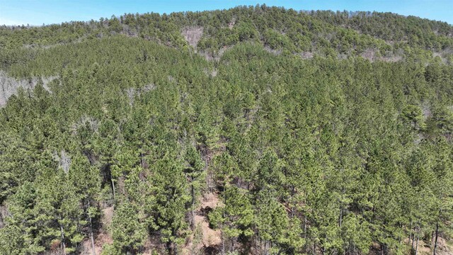 LOT7 Hwy 375 E, Mena, AR 71953