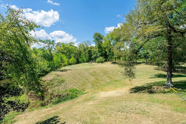 view of local wilderness