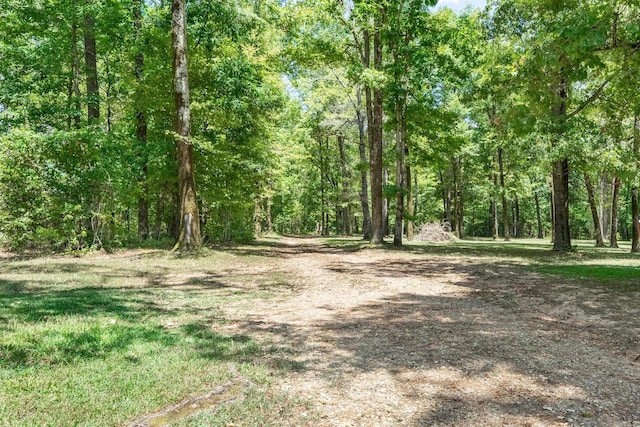 view of landscape featuring a view of trees