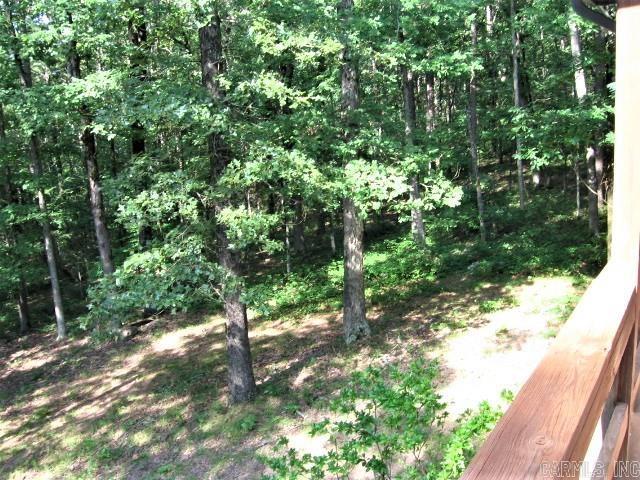 view of local wilderness with a forest view