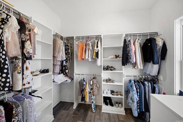 walk in closet with dark wood-style flooring
