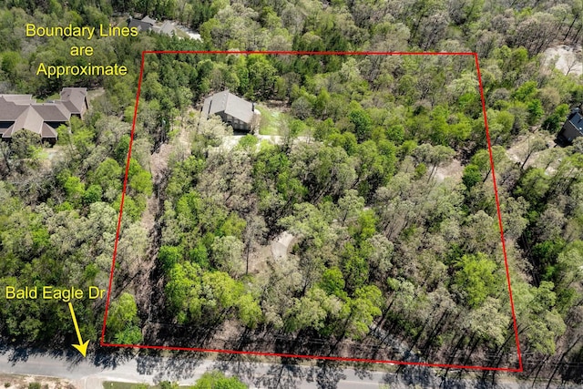 aerial view with a forest view