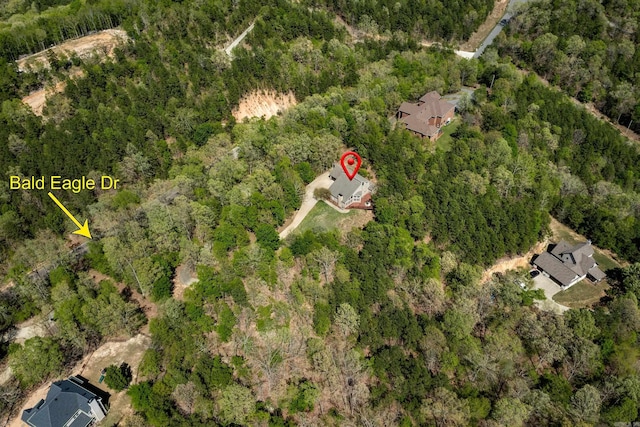 bird's eye view with a forest view