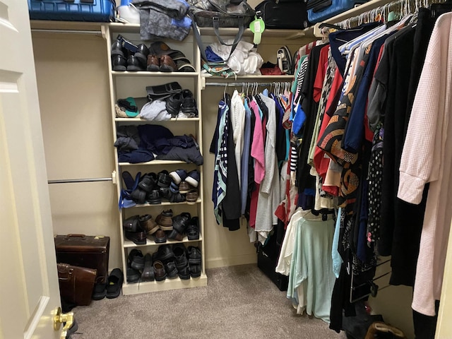 12706 Meadows Edge Ln, Little Rock, AR 72211 - spacious closet featuring carpet