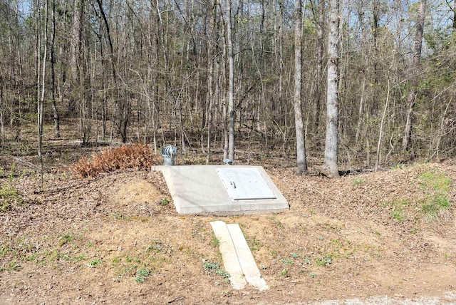 8 Allen Pt, Perryville, AR 72126 - view of storm shelter featuring a view of trees