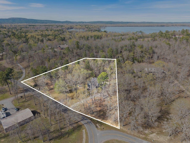 8 Allen Pt, Perryville, AR 72126 - bird's eye view featuring a water view and a wooded view