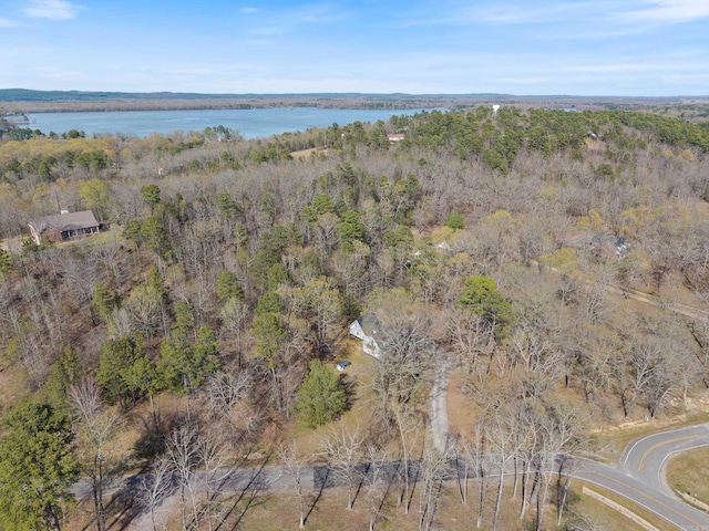 8 Allen Pt, Perryville, AR 72126 - bird's eye view with a water view and a wooded view