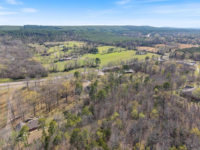 8 Allen Pt, Perryville, AR 72126 - bird's eye view with a view of trees