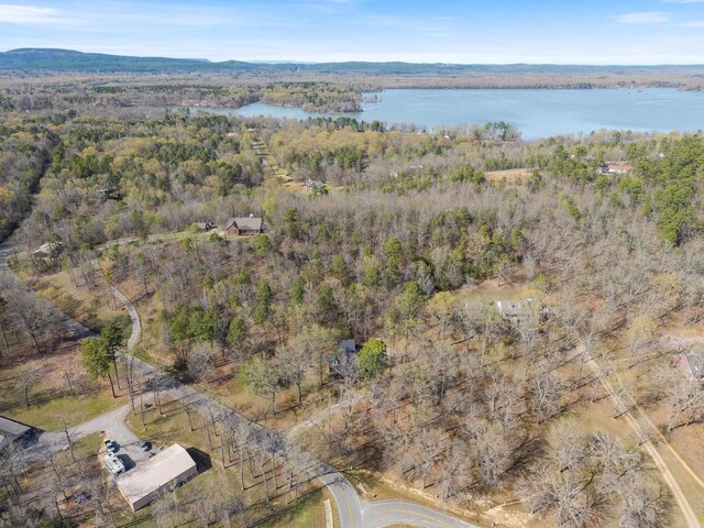 8 Allen Pt, Perryville, AR 72126 - aerial view featuring a water view and a wooded view