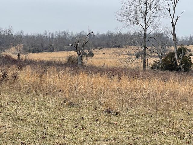0 Fairview Rd, Salem, AR 72576