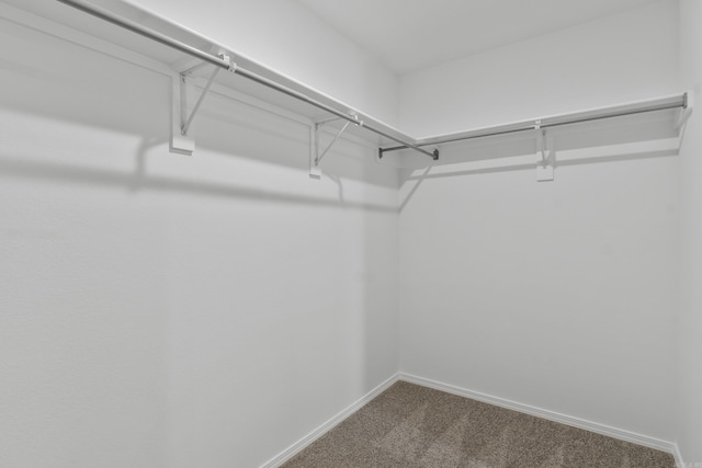 1233 Santa Fe Trl, Bauxite, AR 72011 - walk in closet with carpet