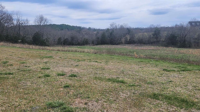 44 Duncan Ln, Story, AR 71970 - mountain view with a forest view