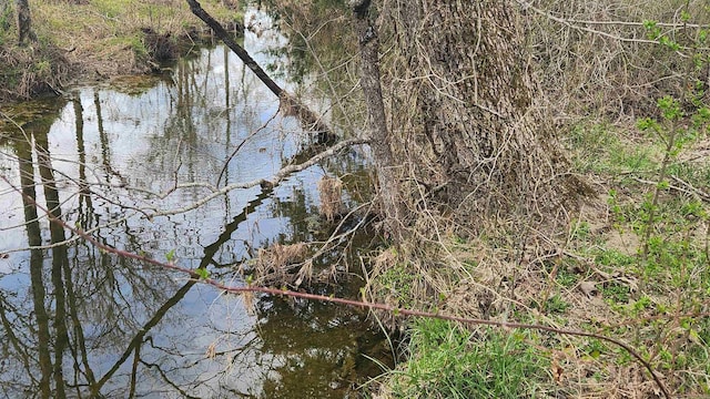 44 Duncan Ln, Story, AR 71970 - view of local wilderness featuring a water view