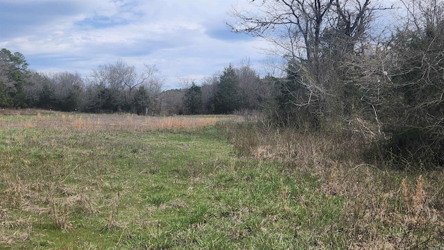 44 Duncan Ln, Story, AR 71970 - view of landscape featuring a view of trees