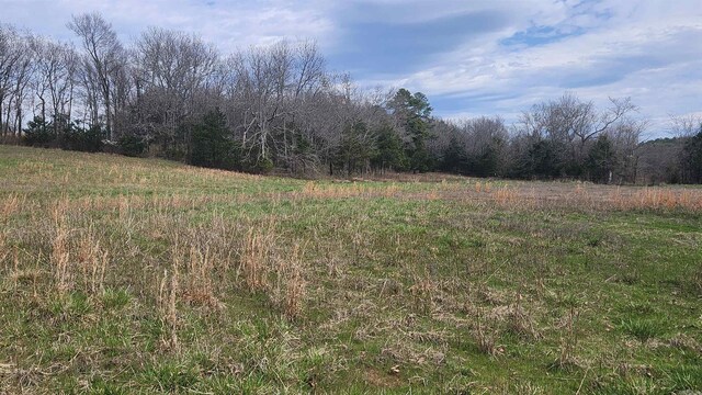 44 Duncan Ln, Story, AR 71970 - view of local wilderness with a wooded view and a rural view