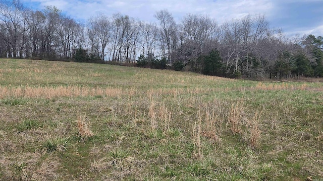 44 Duncan Ln, Story, AR 71970 - view of local wilderness featuring a rural view