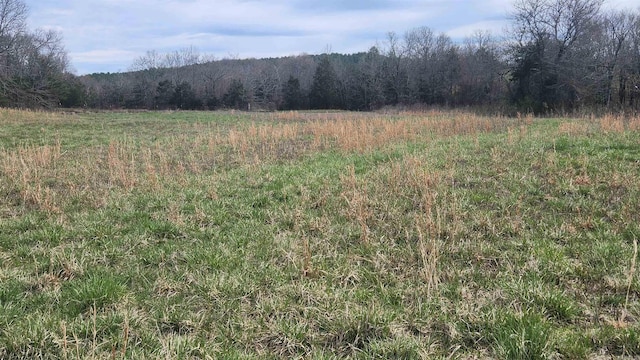 44 Duncan Ln, Story, AR 71970 - view of landscape featuring a view of trees and a rural view