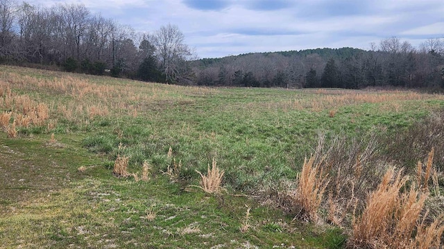 44 Duncan Ln, Story, AR 71970 - view of landscape with a view of trees and a rural view