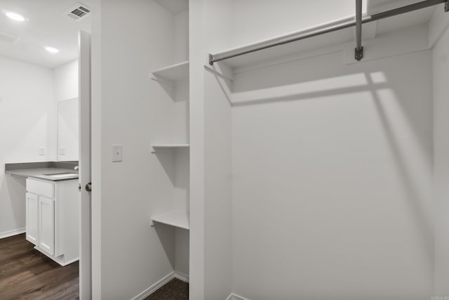 11089 River Valley Dr, Hensley, AR 72065 - spacious closet featuring dark wood-type flooring and a sink