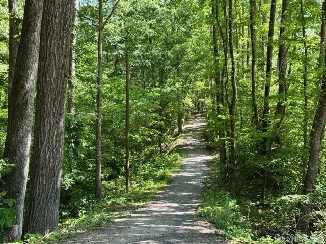 2 Dias Ln, Hot Springs Village, AR 71909 - view of road with a view of trees