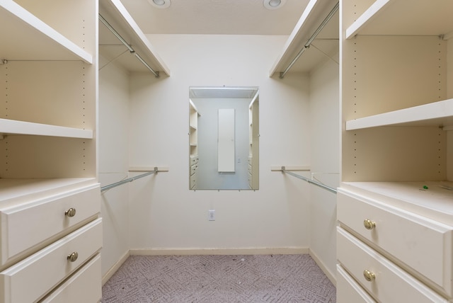 spacious closet with light carpet