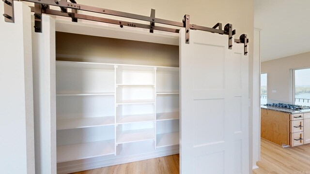 156 Waterfront Dr, Hot Springs, AR 71913 - view of closet