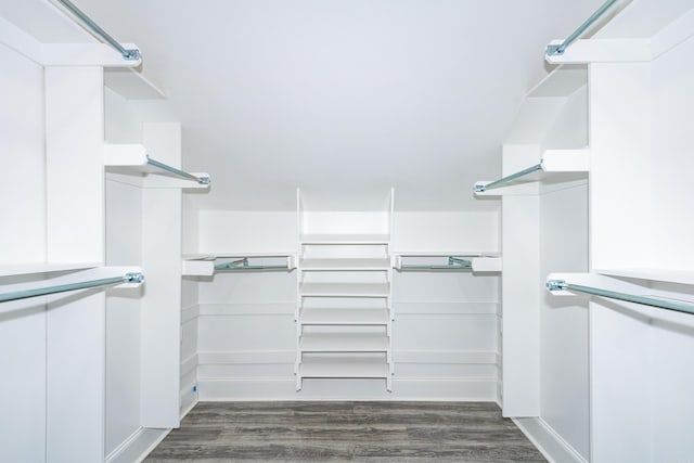 walk in closet with dark wood-style flooring