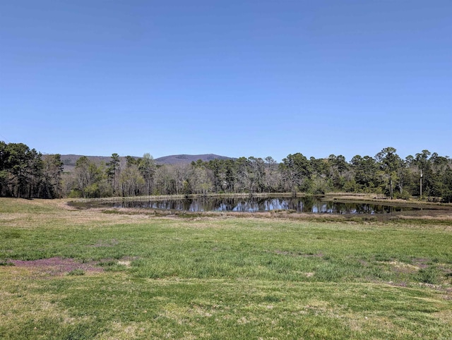 164 Polk Road 714, Mena, AR 71953 - view of yard featuring a water view and a forest view