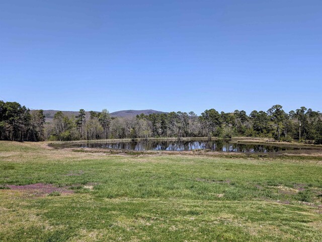 164 Polk Rd Unit 714, Mena, AR 71953 - view of yard with a wooded view and a water view