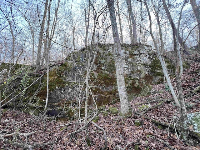 150 Woopsie Dr, Leslie, AR 72645 - view of landscape