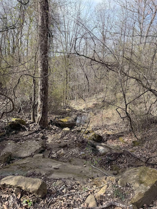 150 Woopsie Dr, Leslie, AR 72645 - view of nature