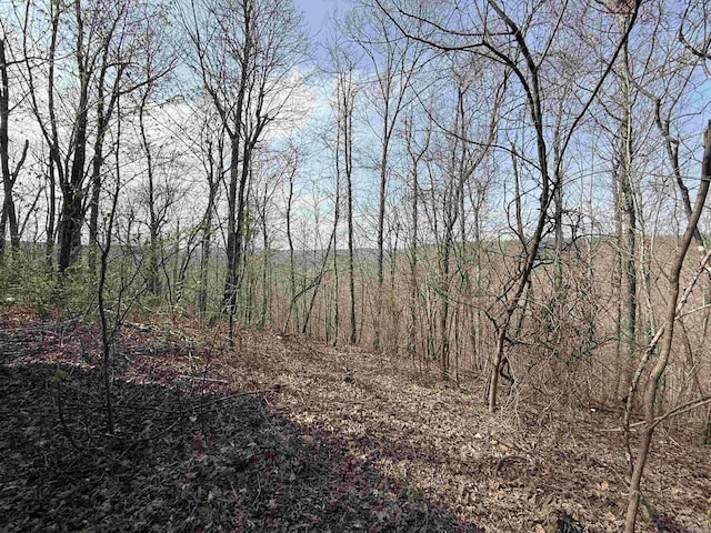 150 Woopsie Dr, Leslie, AR 72645 - view of landscape
