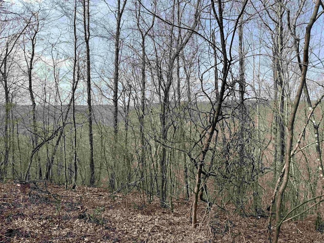 150 Woopsie Dr, Leslie, AR 72645 - view of landscape featuring a view of trees