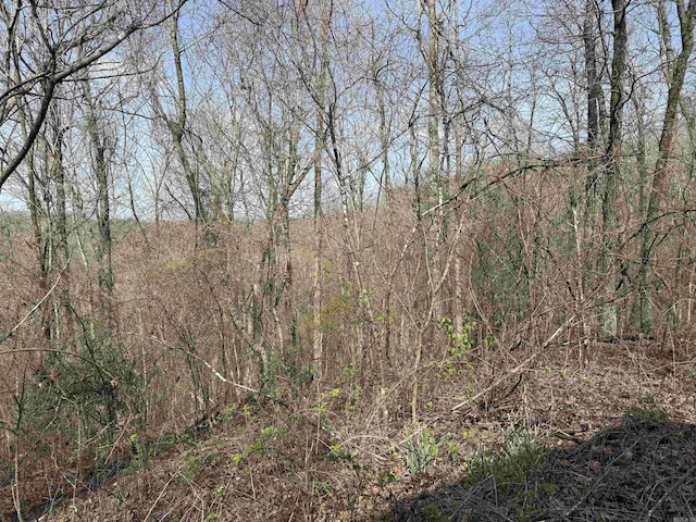 150 Woopsie Dr, Leslie, AR 72645 - view of landscape featuring a forest view