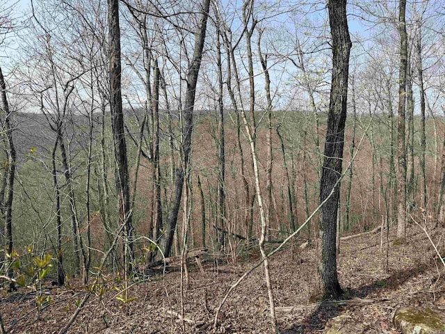 150 Woopsie Dr, Leslie, AR 72645 - view of nature featuring a forest view