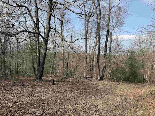 150 Woopsie Dr, Leslie, AR 72645 - view of nature featuring a wooded view