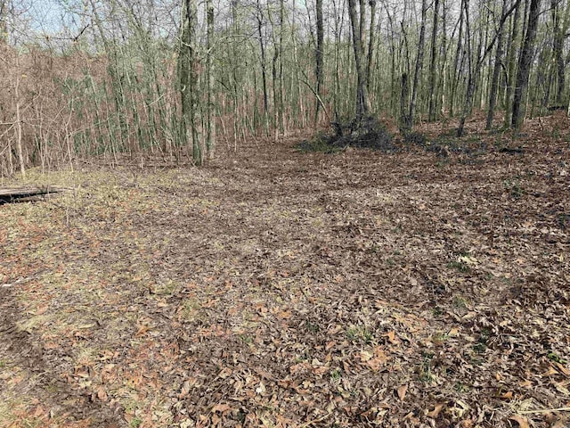 150 Woopsie Dr, Leslie, AR 72645 - view of landscape with a forest view