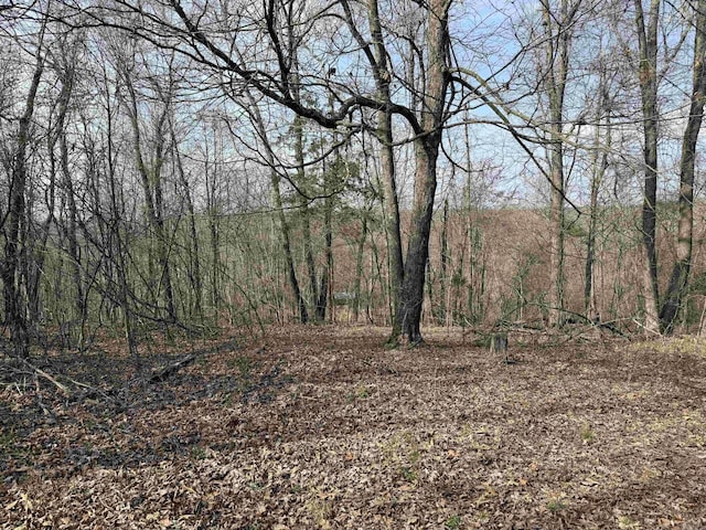 150 Woopsie Dr, Leslie, AR 72645 - view of local wilderness with a forest view