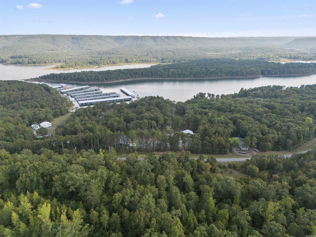 drone / aerial view featuring a water view and a view of trees