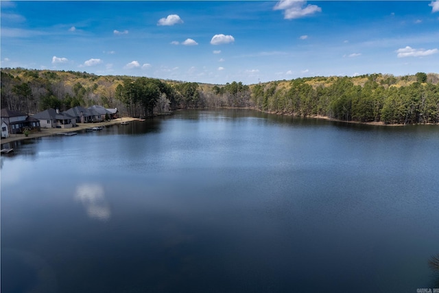 411 Sienna Lake Dr, Little Rock, AR 72210 - view of water feature featuring a wooded view